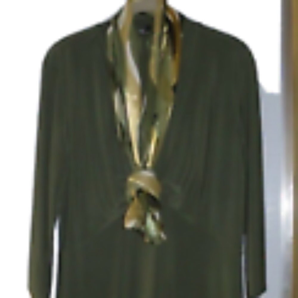 Tiana B Olive Green 3/4 sleeve Vee neckline dress Sz L w/scarf